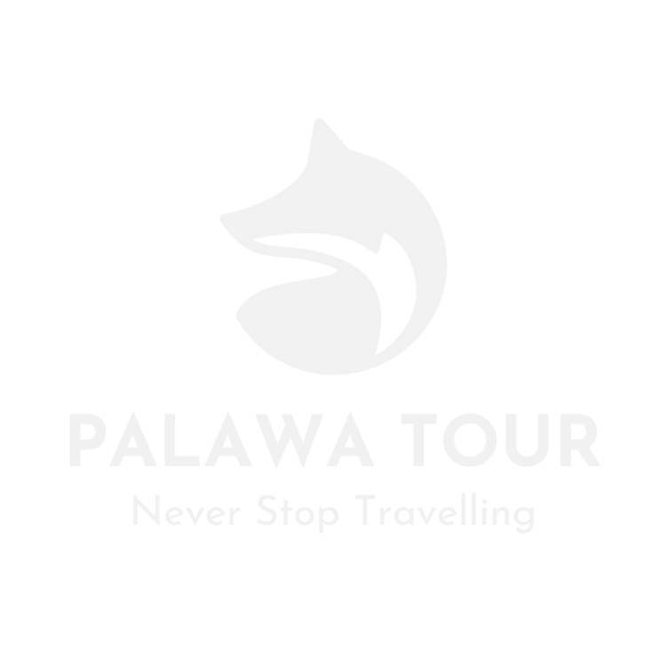 PALAWA TOUR